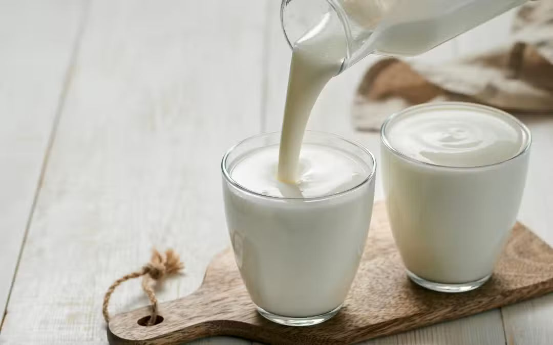 Como hacer kefir de leche en casa con bulgaros: paso a paso