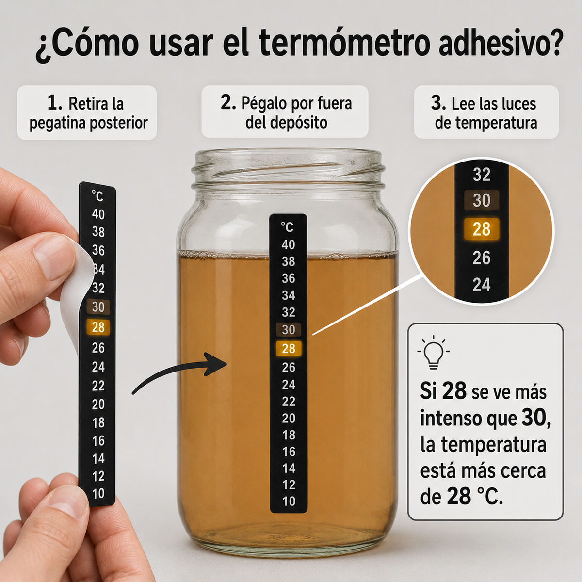 Termómetro Adhesivo
