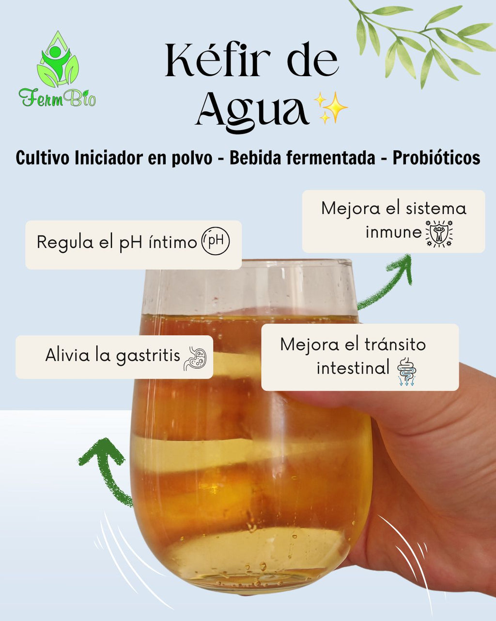 Kéfir de Agua Premium
