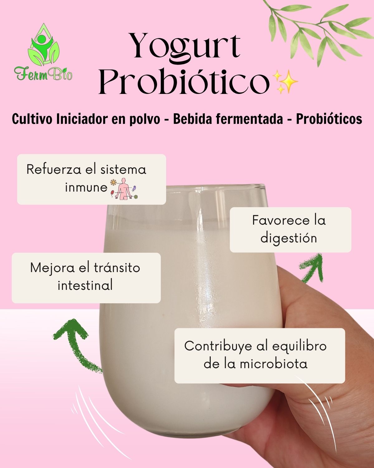 Yogurt Probiotico