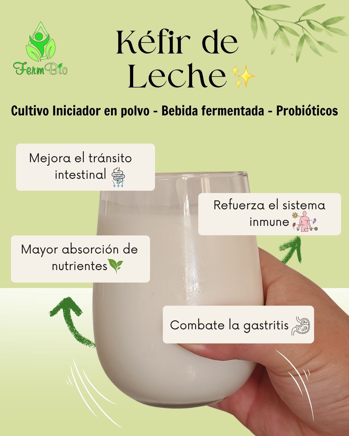 Kéfir de Leche Premium
